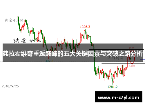 弗拉霍维奇重返巅峰的五大关键因素与突破之路分析