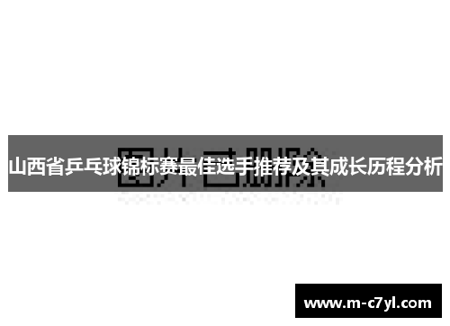 山西省乒乓球锦标赛最佳选手推荐及其成长历程分析