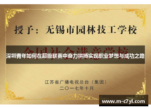 深圳青年如何在超级联赛中奋力拼搏实现职业梦想与成功之路