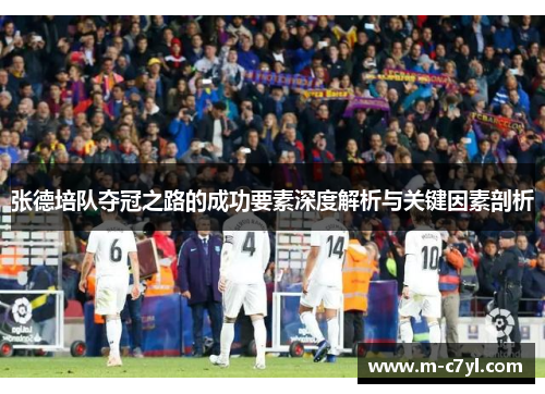 张德培队夺冠之路的成功要素深度解析与关键因素剖析
