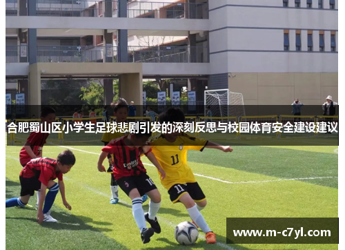 合肥蜀山区小学生足球悲剧引发的深刻反思与校园体育安全建设建议