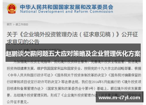 赵鹏谈欠薪问题五大应对策略及企业管理优化方案