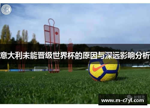意大利未能晋级世界杯的原因与深远影响分析